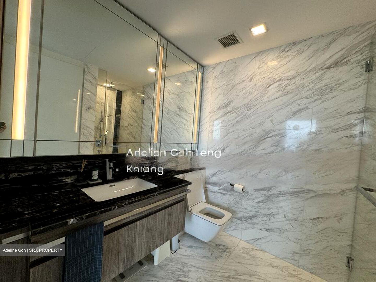 Wallich Street (D2), Condominium #446672141